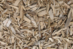biomass boilers Detling
